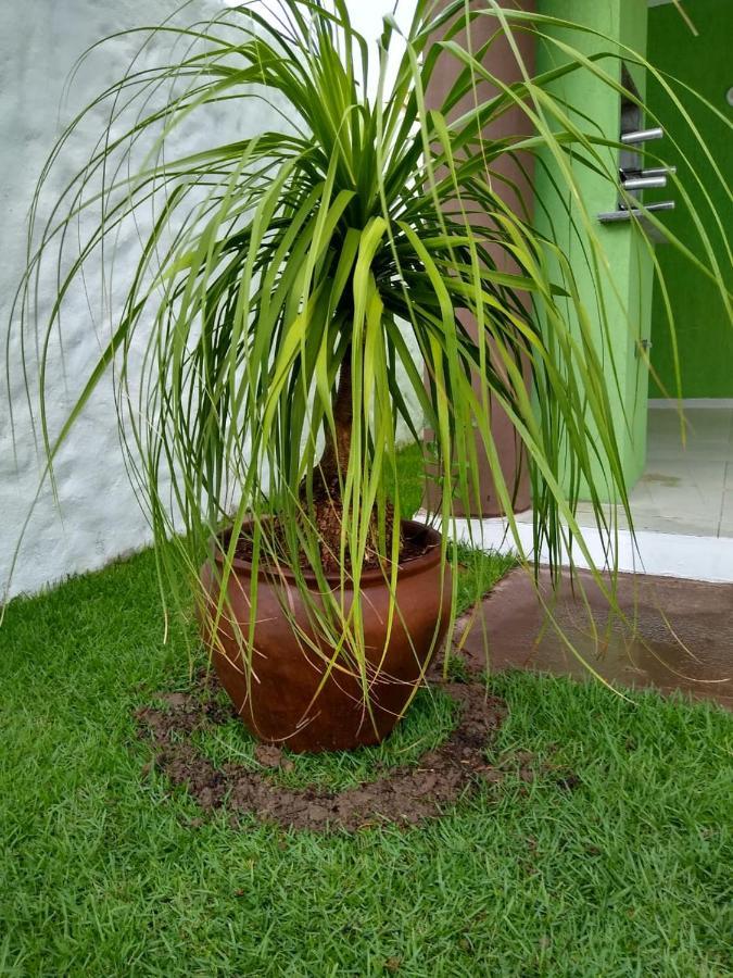 Green House Praia de Pipa Екстериор снимка